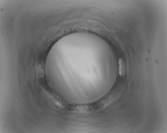 X0000075861491200610061924