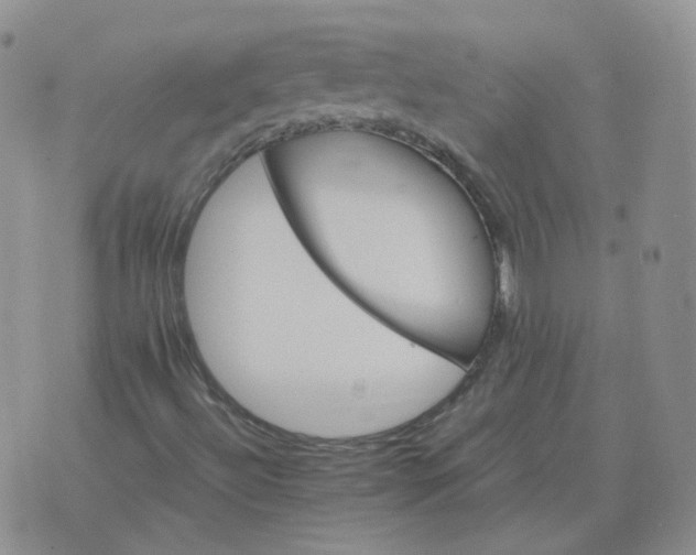 X0000075861492200610061924