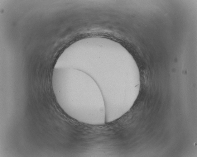 X0000075861493200610061924