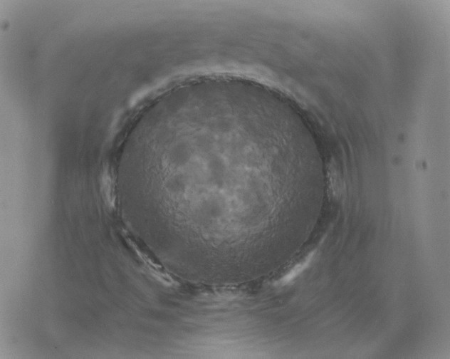 X0000075861494200610061924