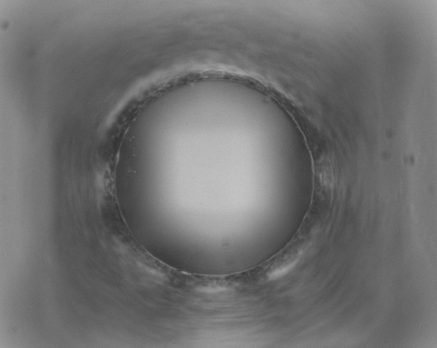 X0000075861495200610061924