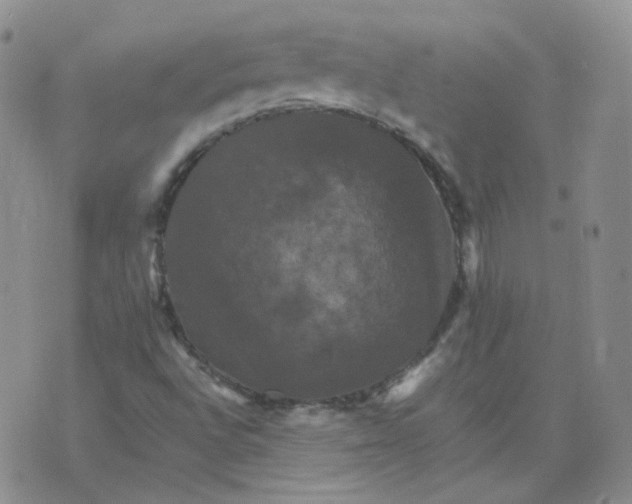 X0000075861496200610061924