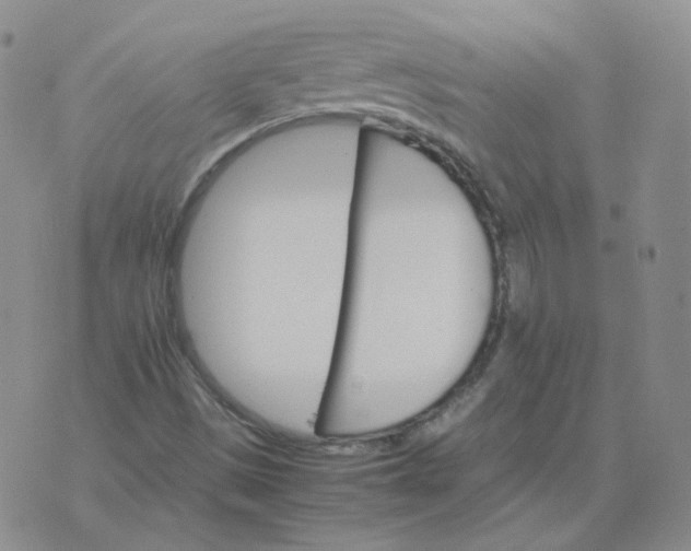 X0000075861497200610061924