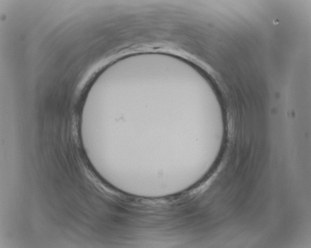 X0000075861498200610061924