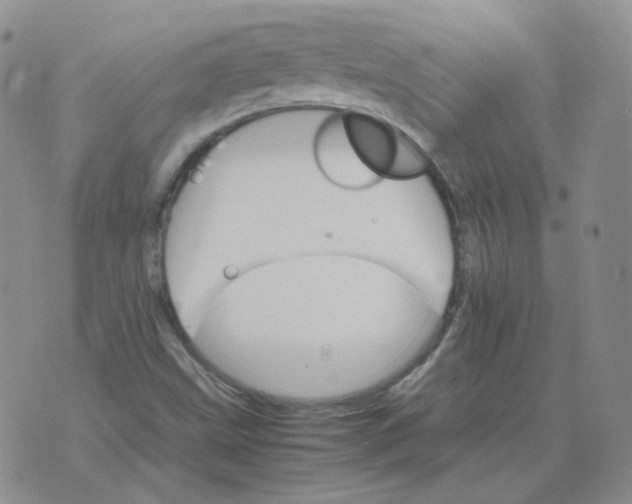 X0000075861499200610061924