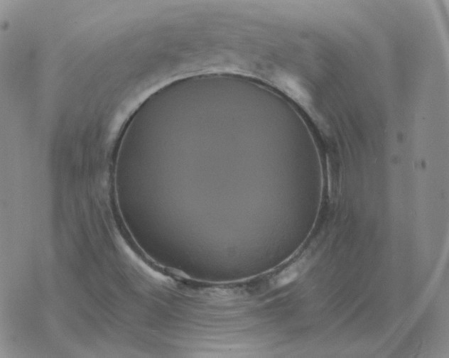 X0000075861500200610061924