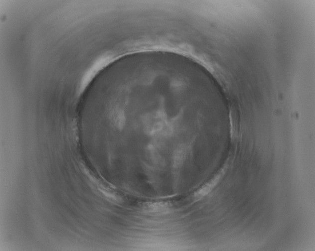 X0000075861501200610061924