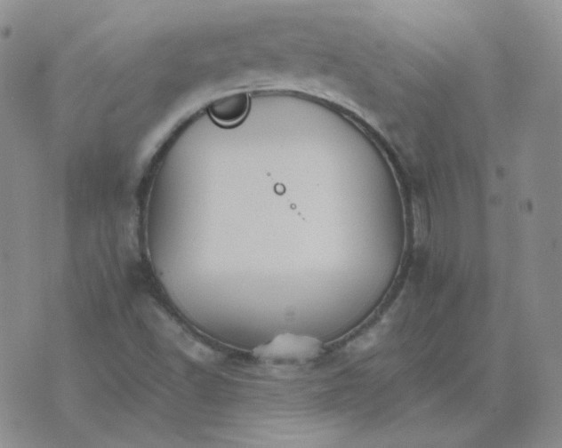 X0000075861502200610061924