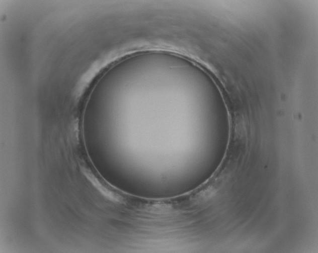 X0000075861503200610061924