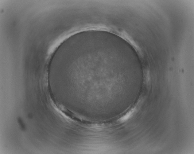 X0000075861504200610061924