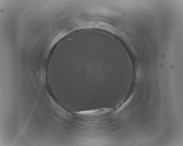 X0000075861505200610061924