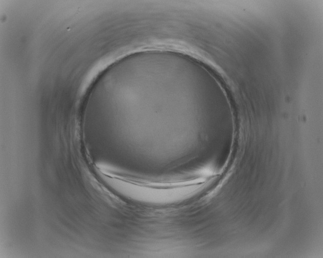 X0000075861506200610061924