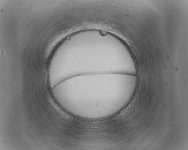 X0000075861507200610061924