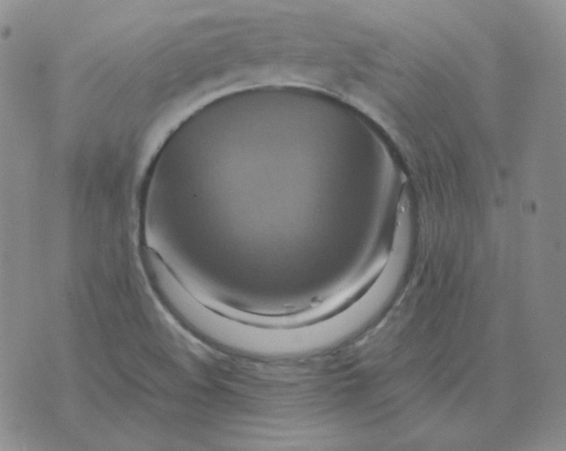 X0000075861508200610061924