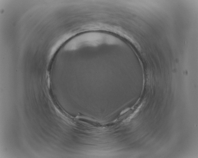 X0000075861509200610061924