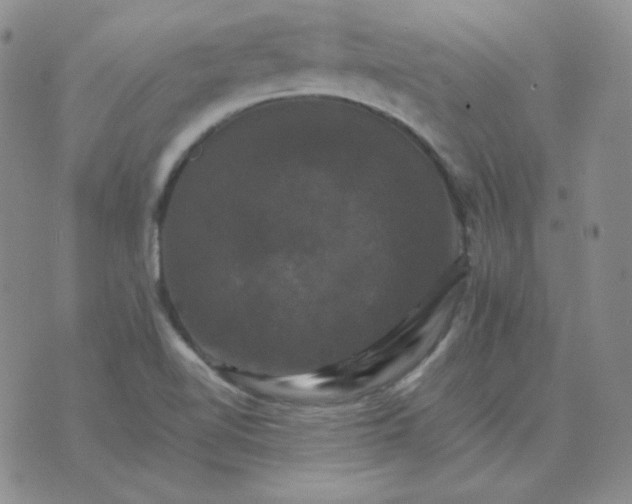 X0000075861510200610061924