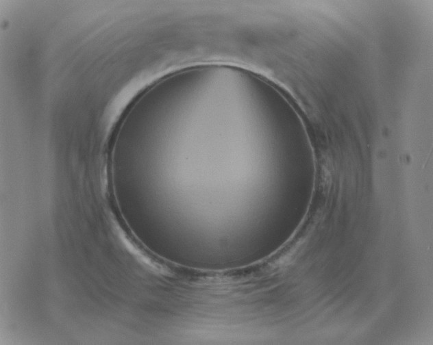 X0000075861511200610061924