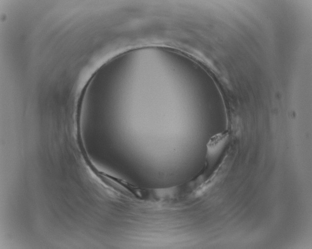 X0000075861512200610061924