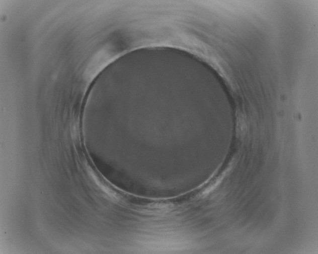 X0000075861513200610061924