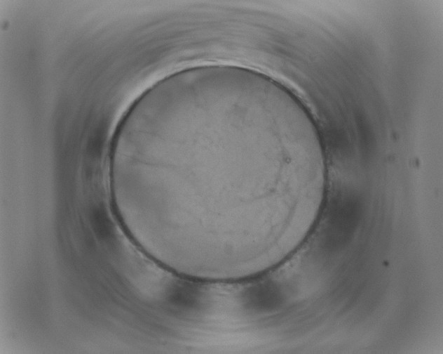 X0000075861514200610061924