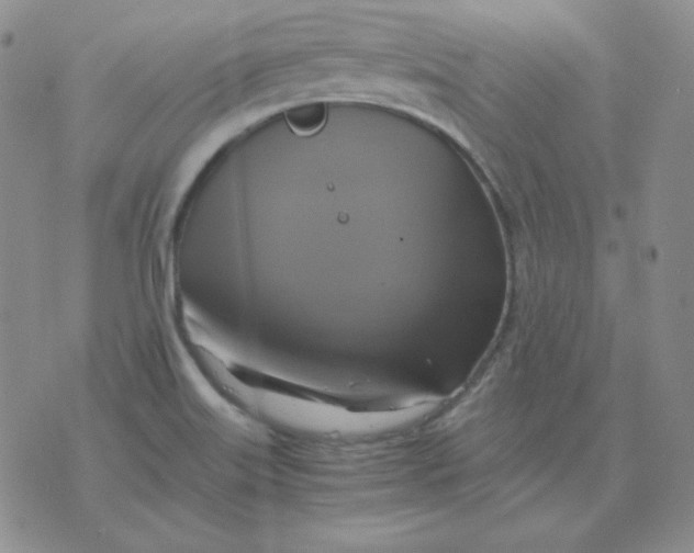 X0000075861515200610061924