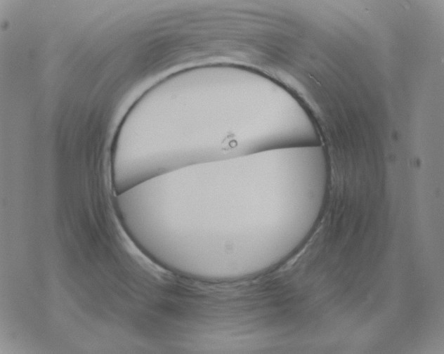 X0000075861516200610061924