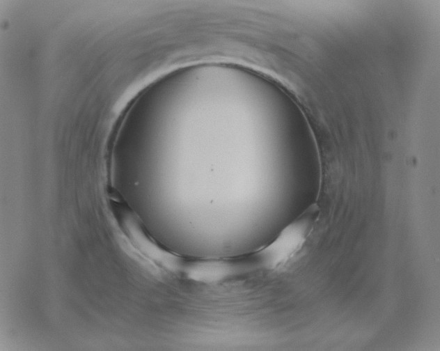 X0000075861518200610061924