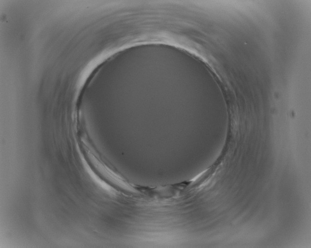 X0000075861519200610061924