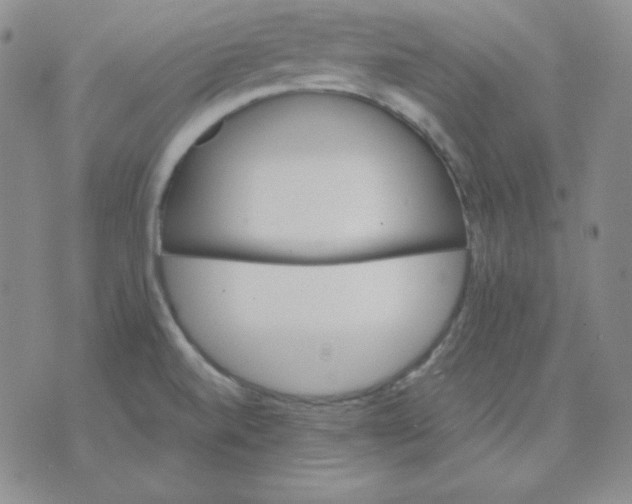 X0000075861520200610061924