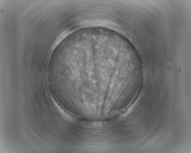 X0000075861521200610061924