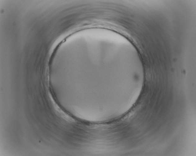 X0000075861522200610061924