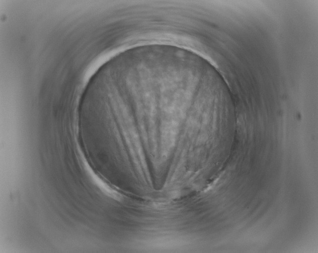 X0000075861523200610061924