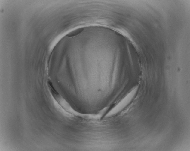 X0000075861524200610061924