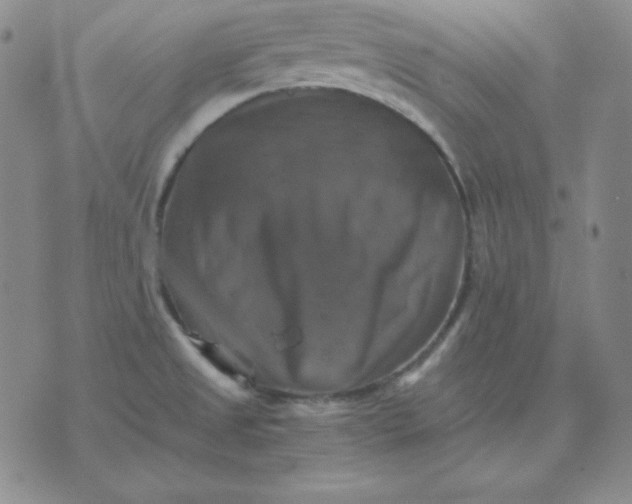 X0000075861525200610061924