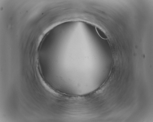 X0000075861526200610061924