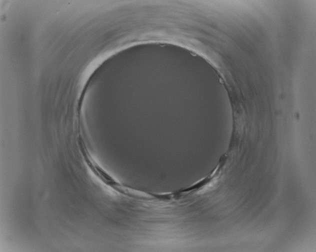 X0000075861527200610061924