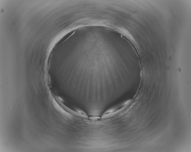 X0000075861528200610061924