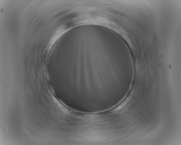 X0000075861529200610061924