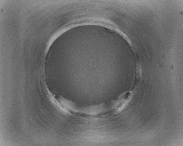 X0000075861530200610061924