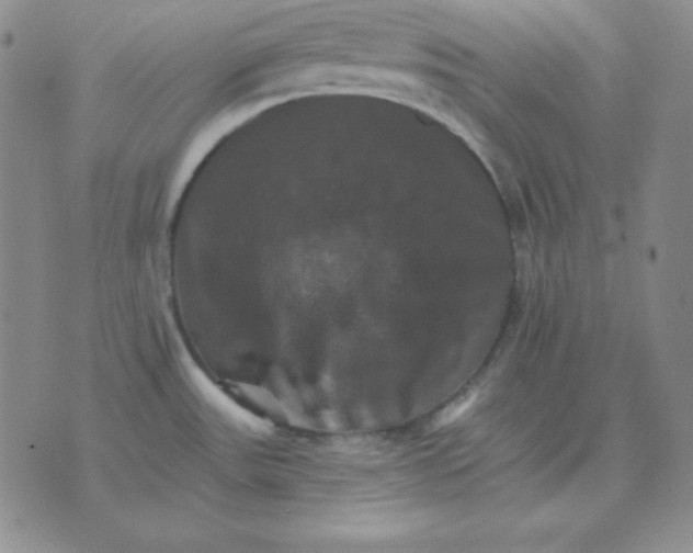 X0000075861531200610061924