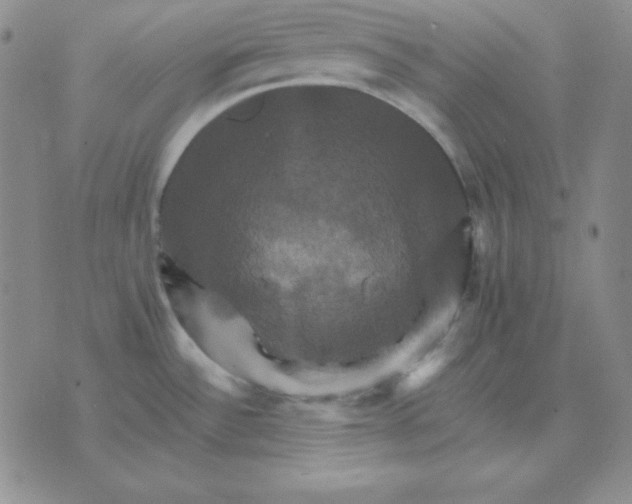 X0000075861532200610061924