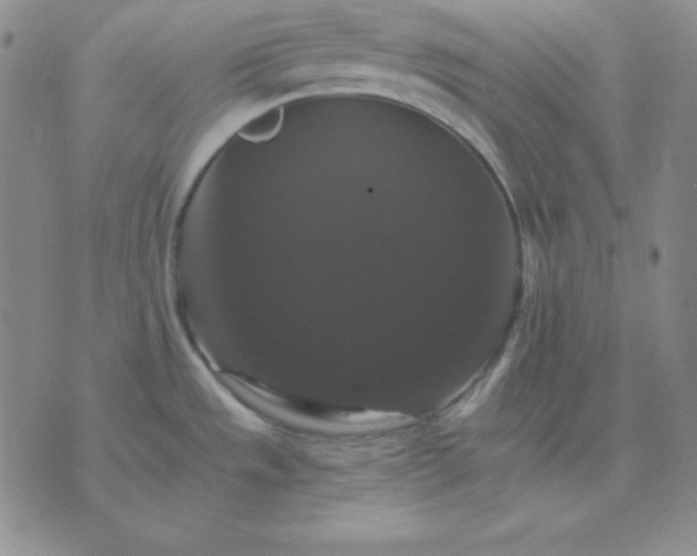 X0000075861533200610061924