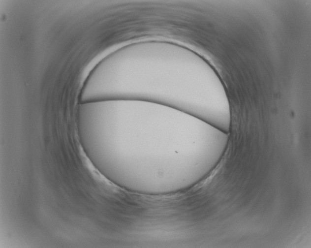 X0000075861534200610061924