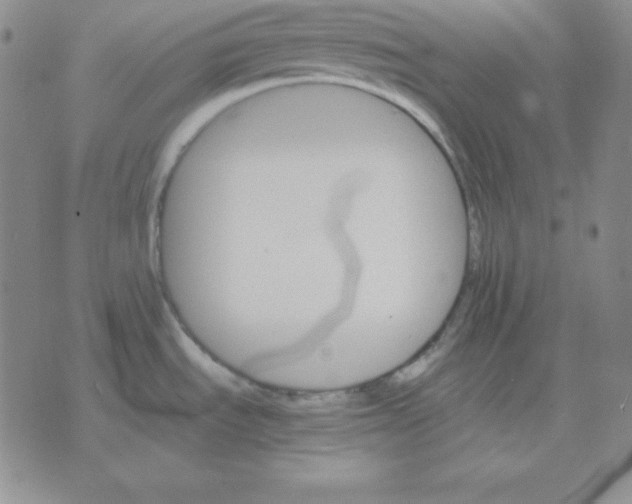 X0000075861535200610061924