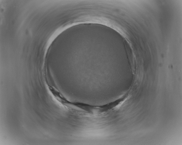 X0000075861536200610061924