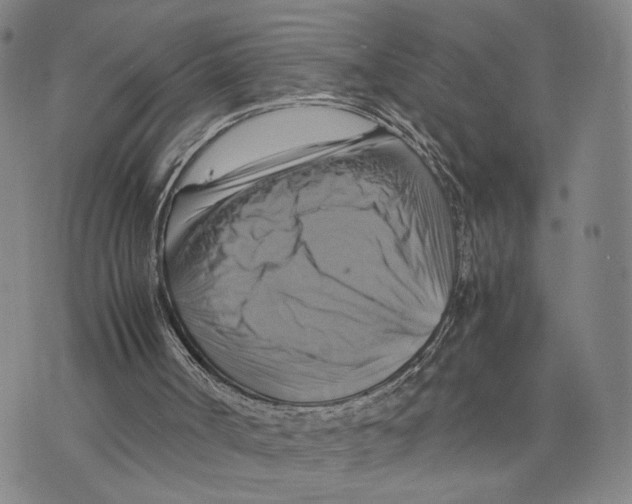 X0000075860002200610151647