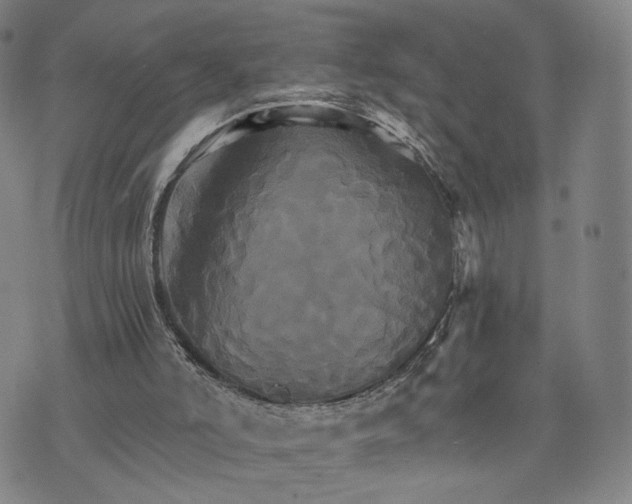 X0000075860006200610151647
