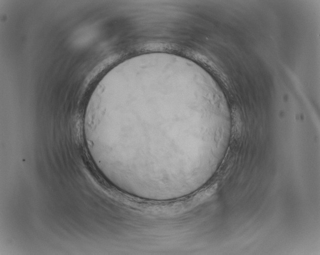 X0000075860016200610151647