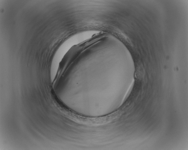 X0000075860027200610151646