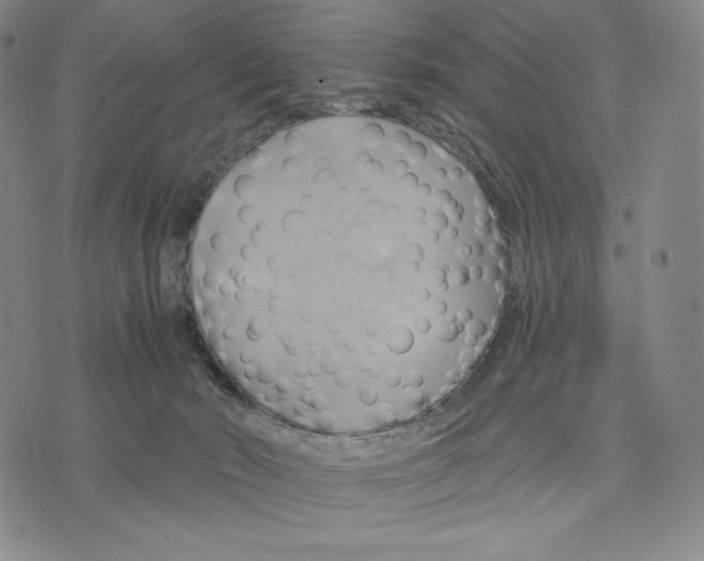 X0000075860030200610151646